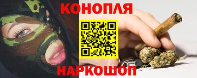 шишки Малгобек