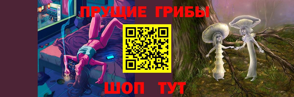 Галлюциногенные грибы Psilocybe  Вход с VPN  наркота  Тихвин  Галлюциногенные грибы Psilocybine cubensis 